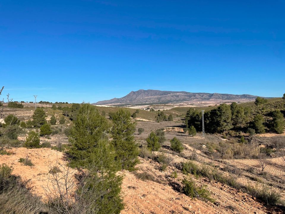 Helårsgrund i La Zarza, Murcia - foto 1