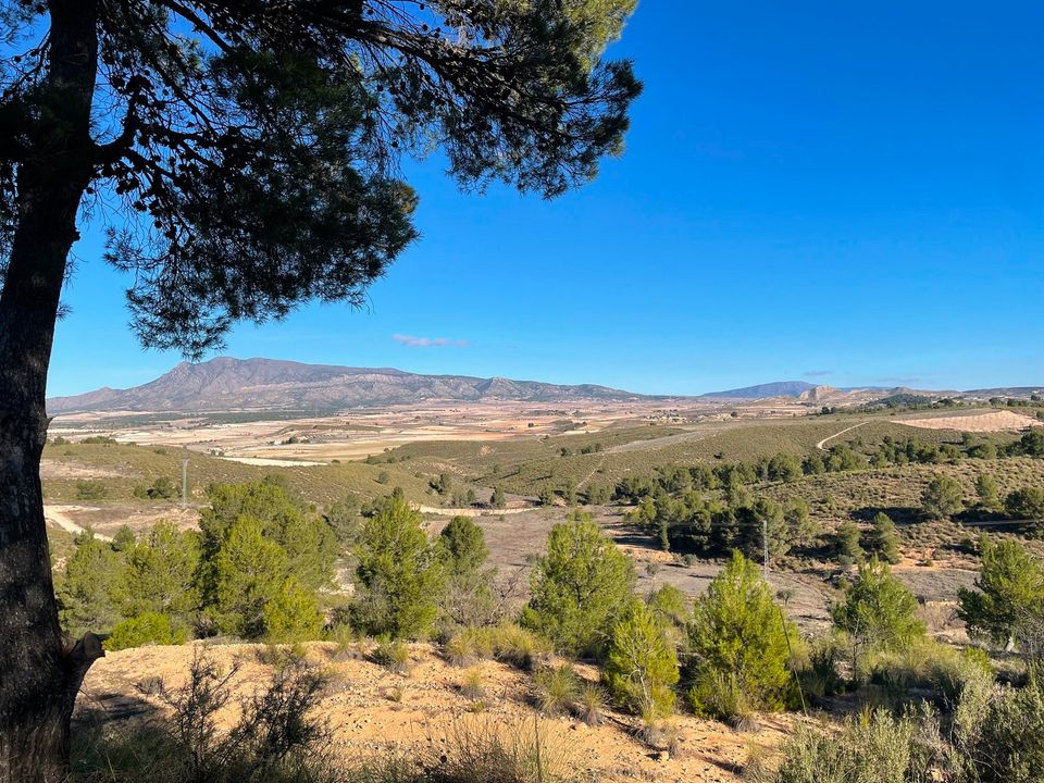 Helårsgrund i La Zarza, Murcia - foto 3