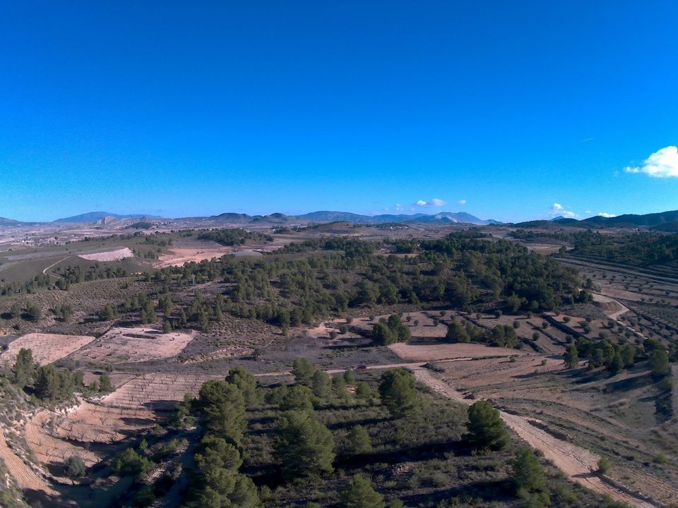 Helårsgrund i La Zarza, Murcia - foto 3