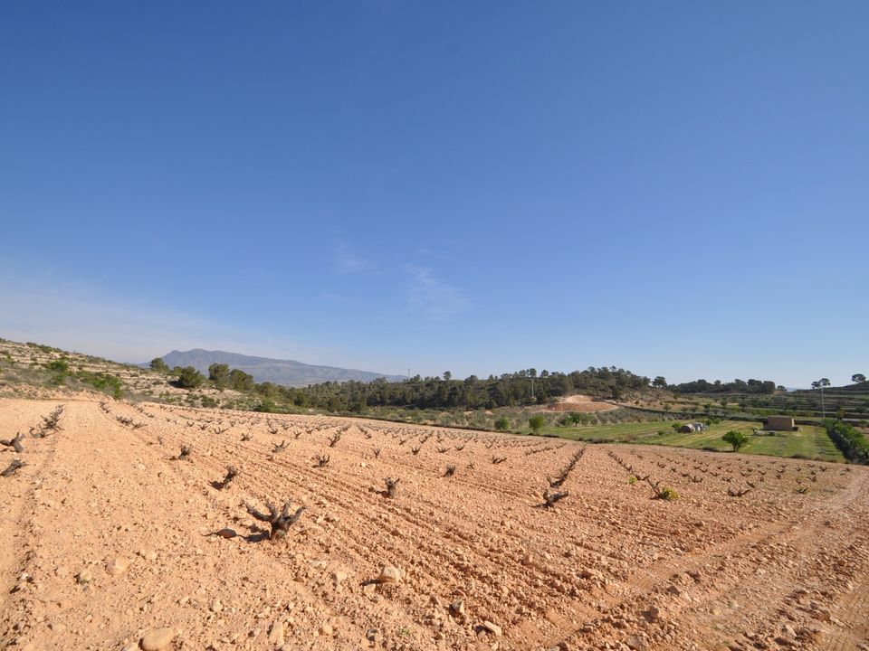 Helårsgrund i La Zarza, Murcia - foto 2