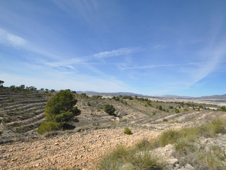 Helårsgrund i La Zarza, Murcia - foto 3