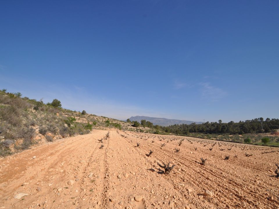 Helårsgrund i La Zarza, Murcia - foto 5