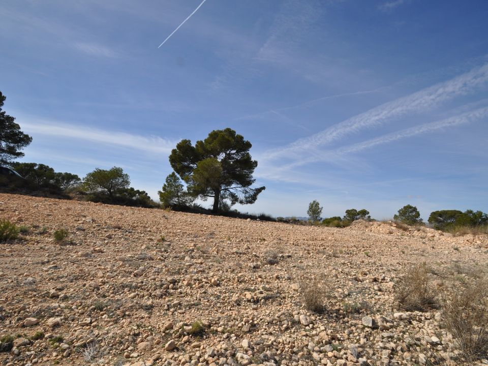 Helårsgrund i La Zarza, Murcia - foto 2