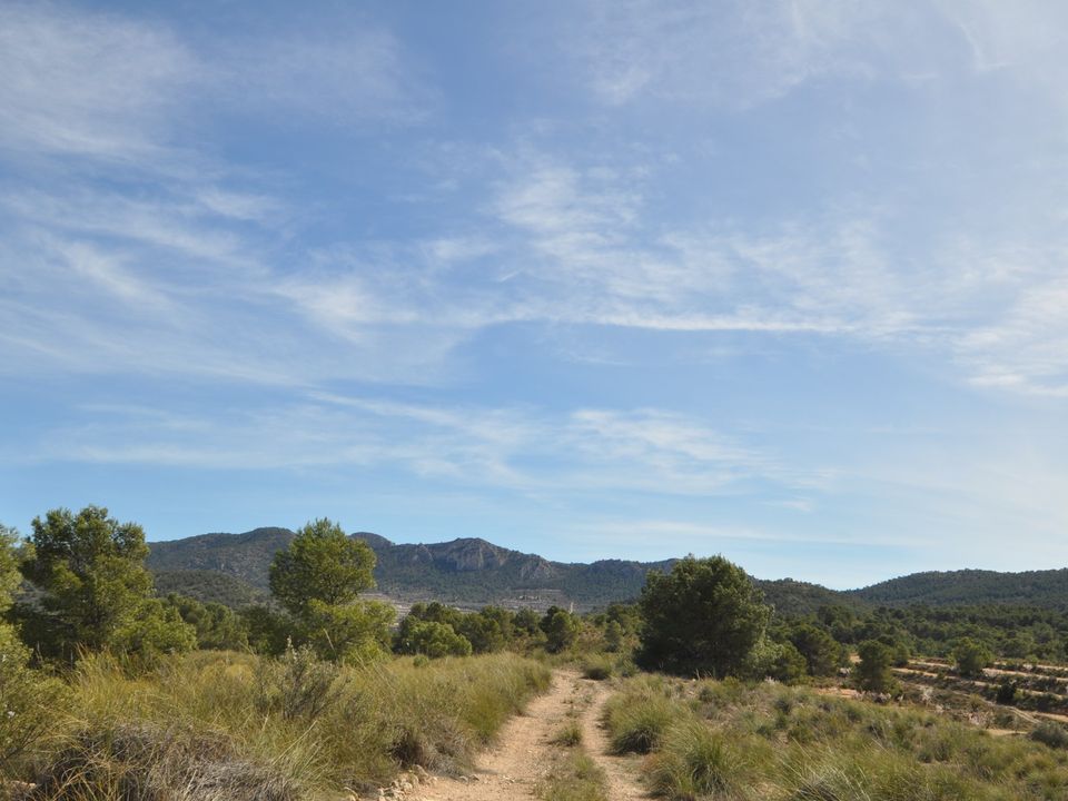 Helårsgrund i La Zarza, Murcia - foto 3