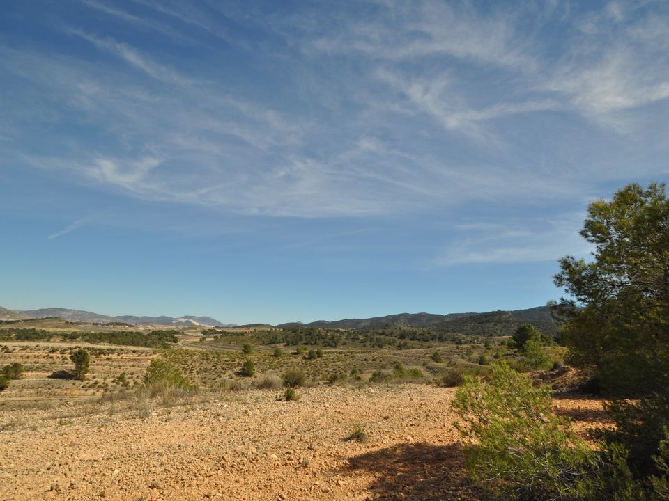Helårsgrund i La Zarza, Murcia - foto 4