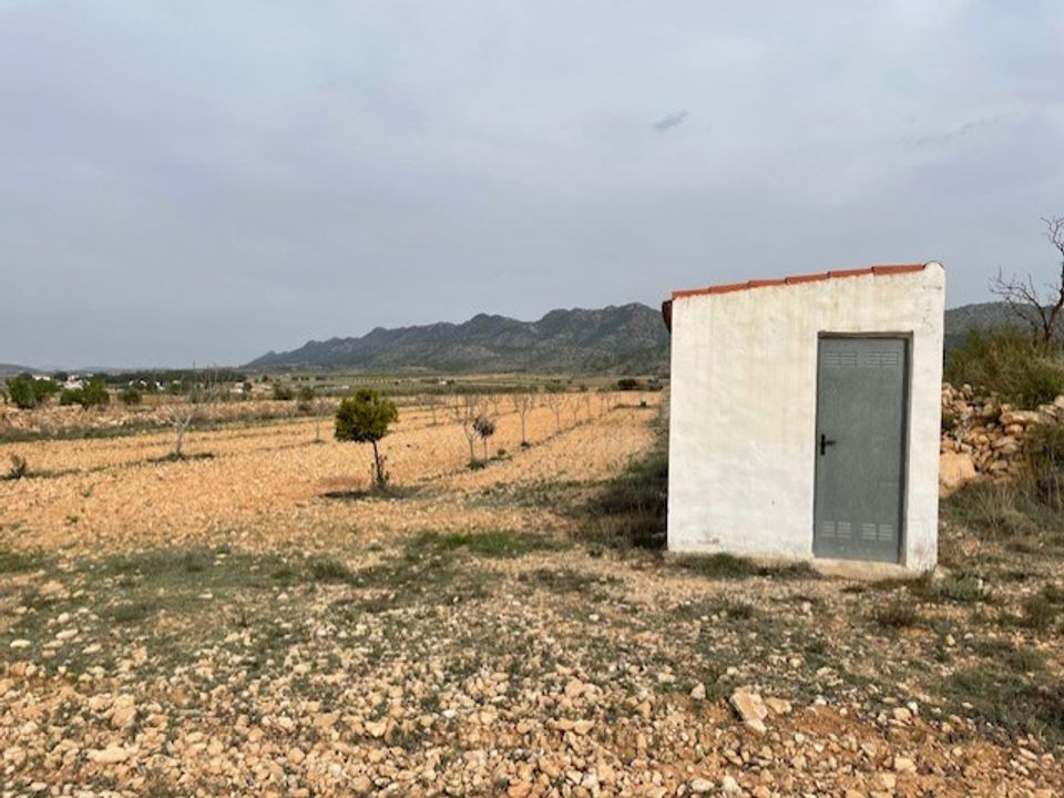 Terreno en Yecla, Murcia - foto 5