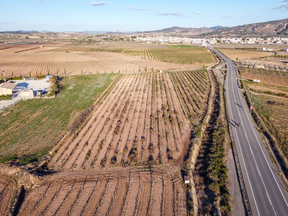Helårsgrund i Pinoso, Alicante - foto 3
