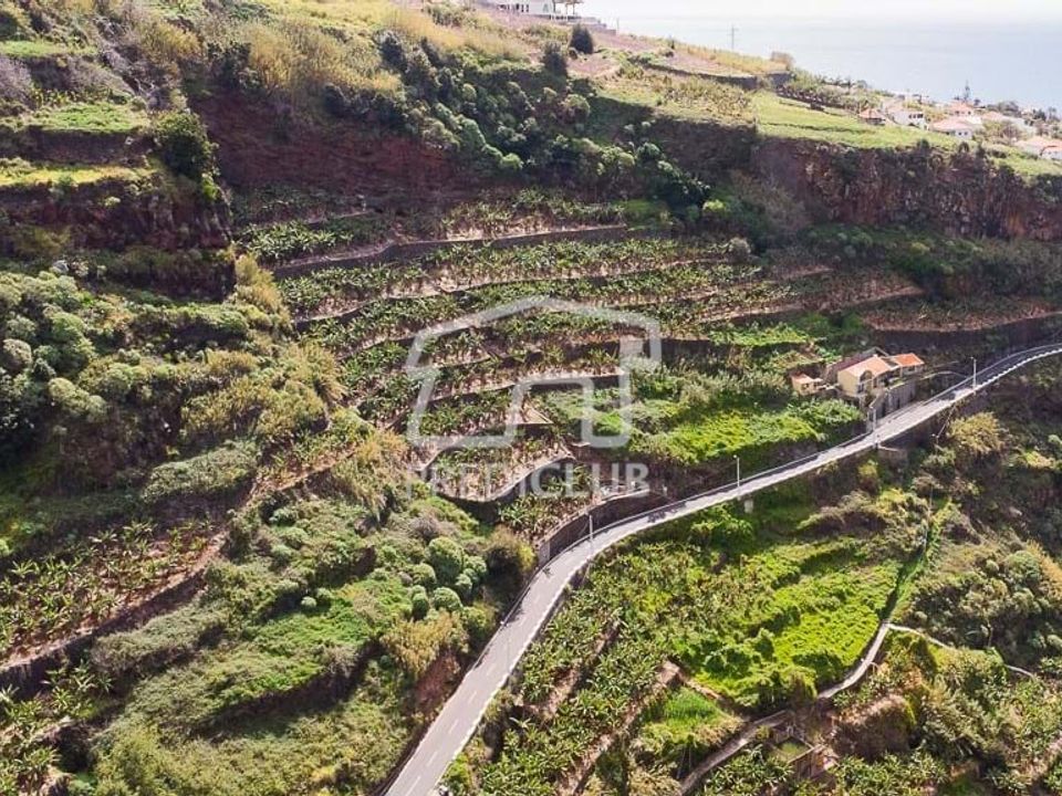 Helårsgrund i Ribeira Brava, Madeira - foto 4