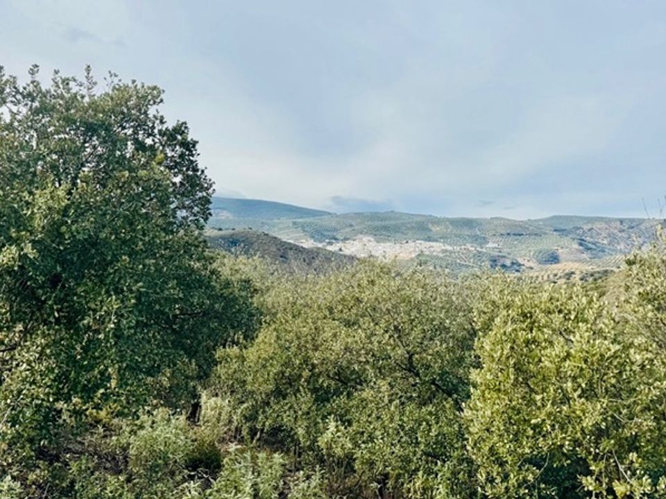 Landejendom i Loja, Granada - foto 4