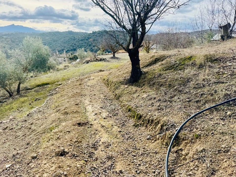 Landejendom i Loja, Granada - foto 3