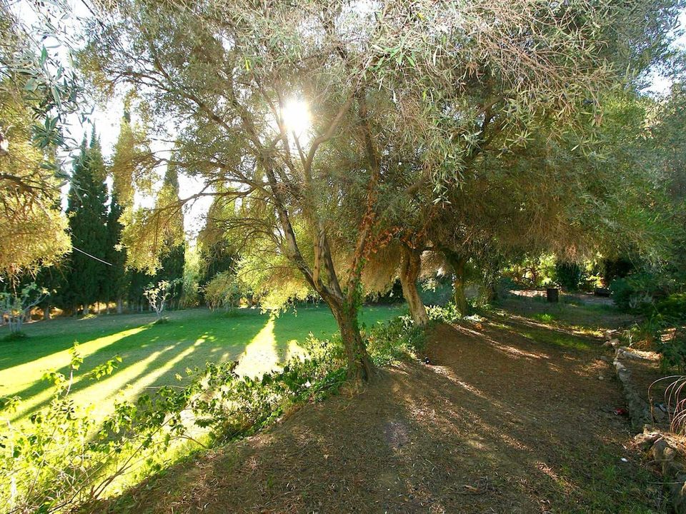 Helårsgrund i Mijas, Malaga - foto 1