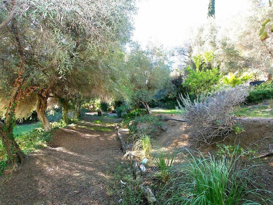 Helårsgrund i Mijas, Malaga - foto 2