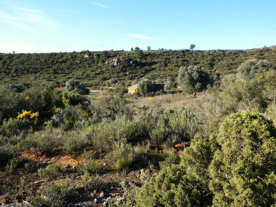 Finca i Fabara, Zaragoza - foto 3