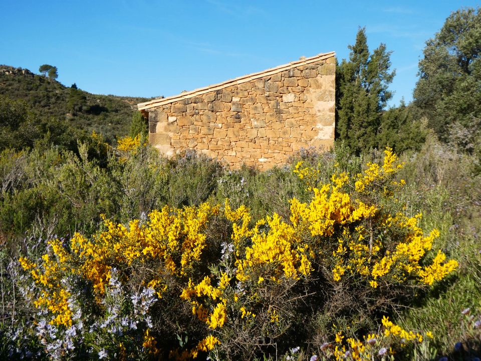 Finca i Fabara, Zaragoza - foto 5