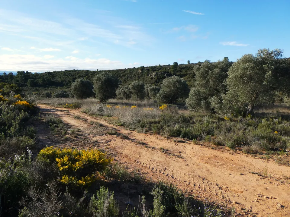 Finca i Fabara, Zaragoza - foto 2