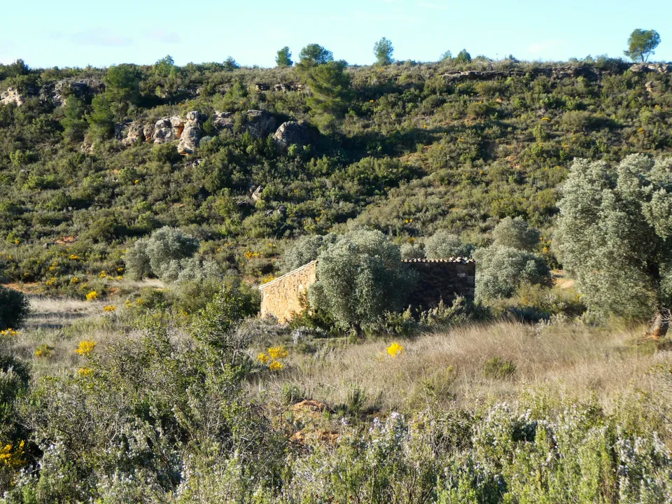 Finca i Fabara, Zaragoza - foto 4