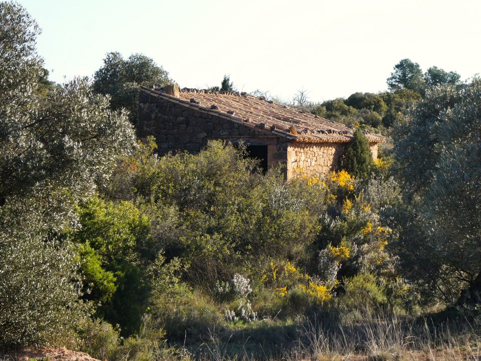 Finca i Fabara, Zaragoza - foto 1