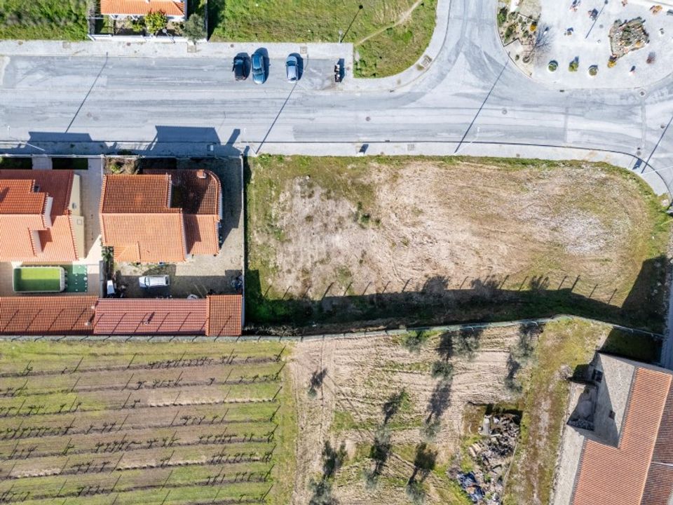 Helårsgrund i Caria, Castelo Branco - foto 4