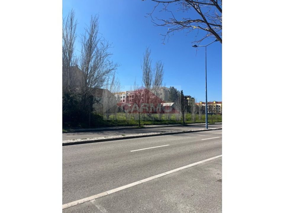 Helårsgrund i Montijo, Setubal - foto 4