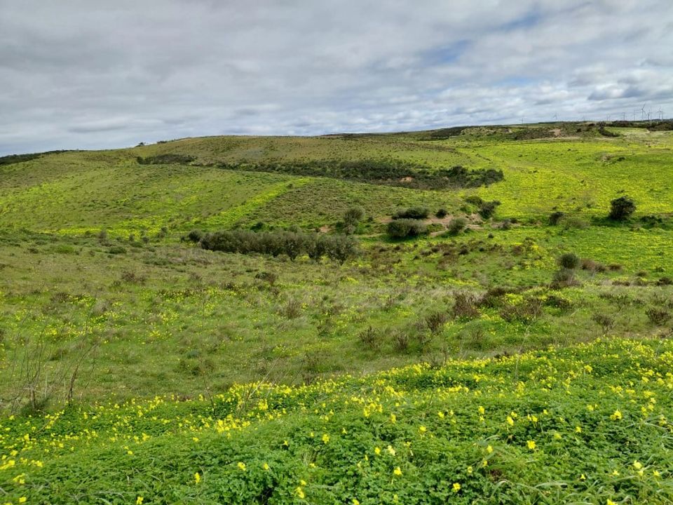 Helårsgrund i Sagres, Faro - foto 3