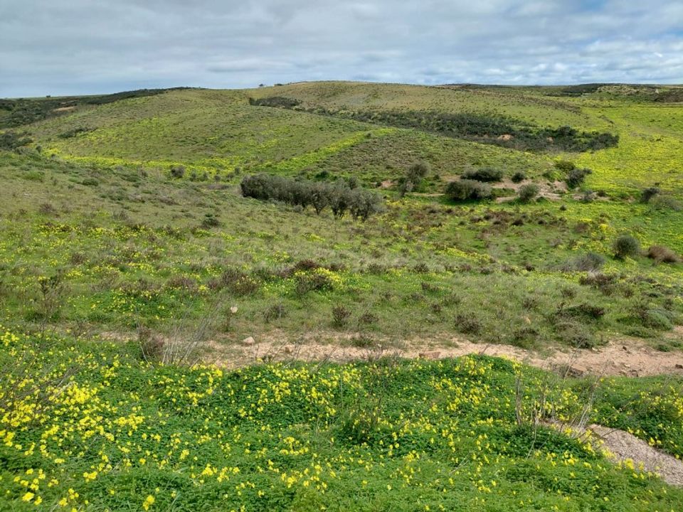 Helårsgrund i Sagres, Faro - foto 4