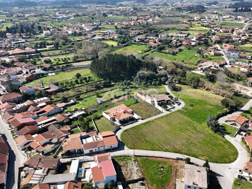 Helårsgrund i Anadia, Aveiro - foto 3