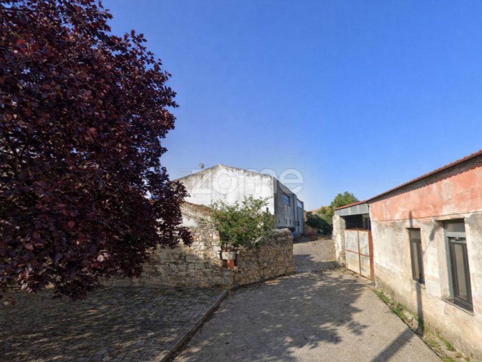 Helårsgrund i Murtede, Coimbra - foto 5