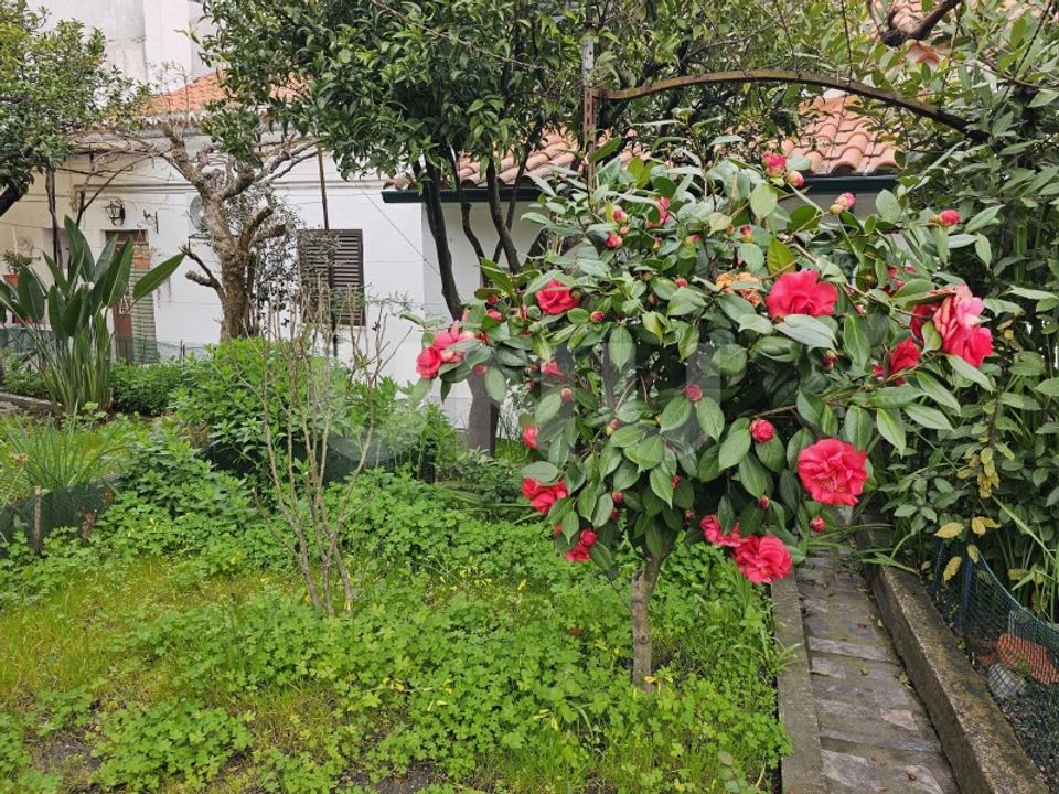 Villa i Castelo Branco, Castelo Branco - foto 2