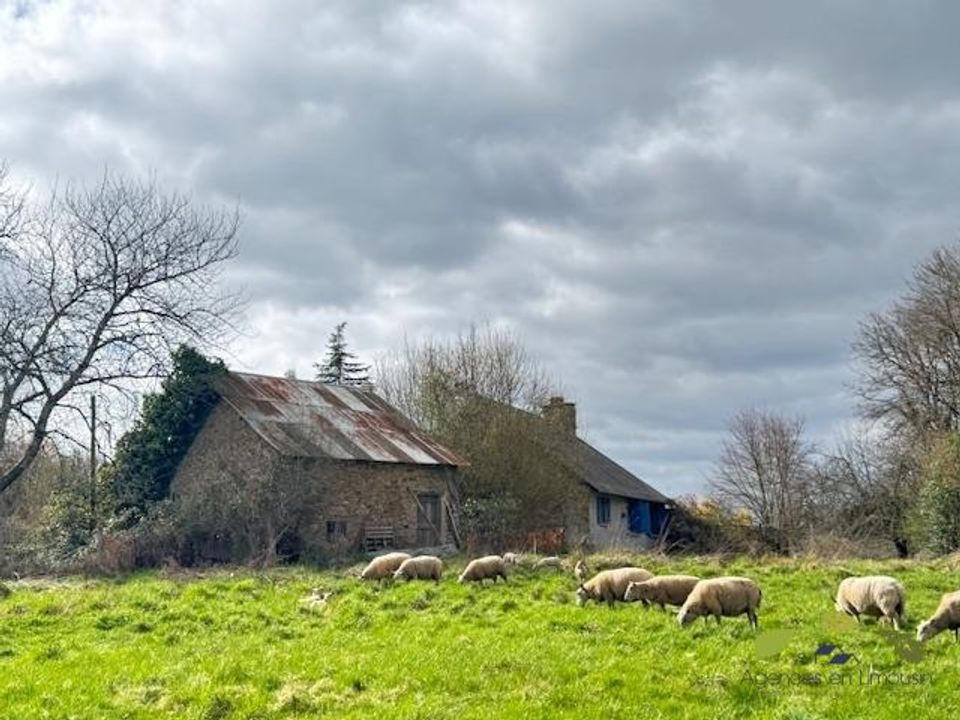 Landejendom i Peyrissac, Correze - foto 2