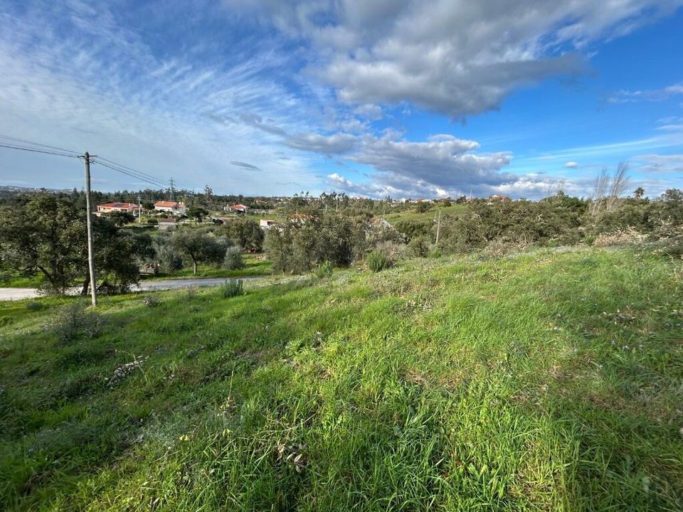 Helårsgrund i Tomar, Santarem - foto 3