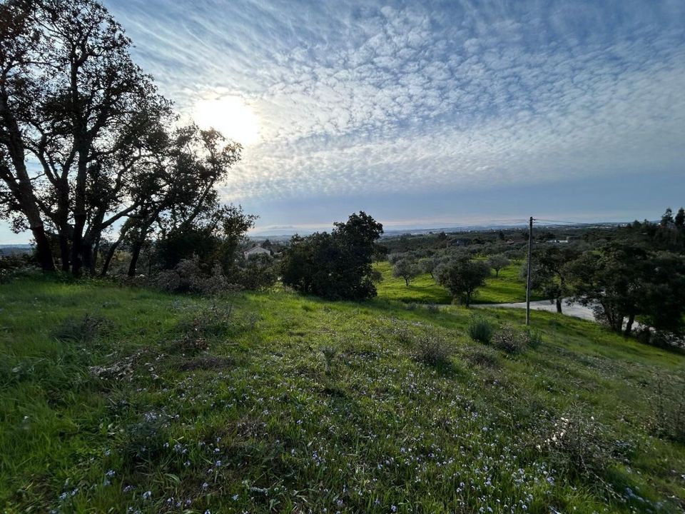Helårsgrund i Tomar, Santarem - foto 4