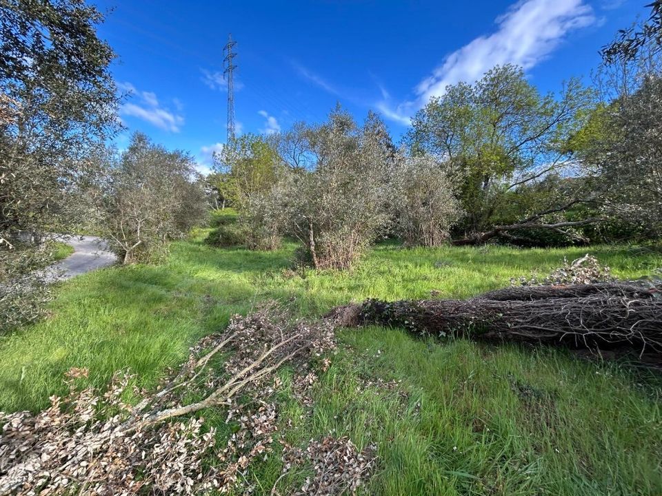 Helårsgrund i Tomar, Santarem - foto 2
