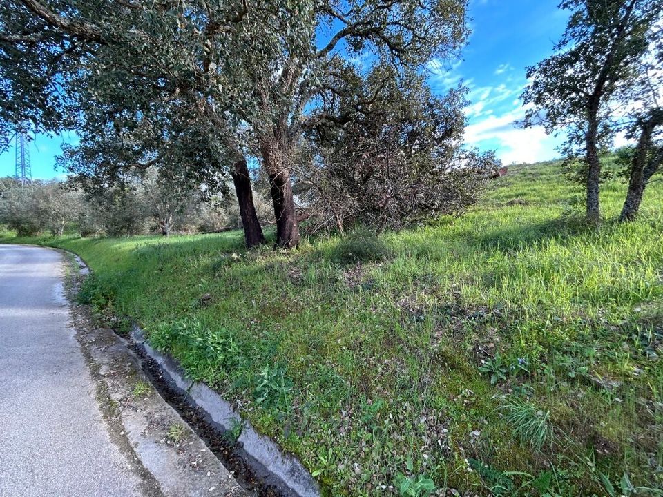 Helårsgrund i Tomar, Santarem - foto 5