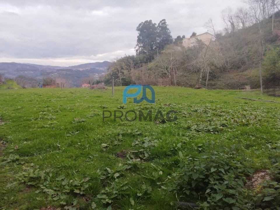Helårsgrund i Cinfaes, Viseu - foto 1