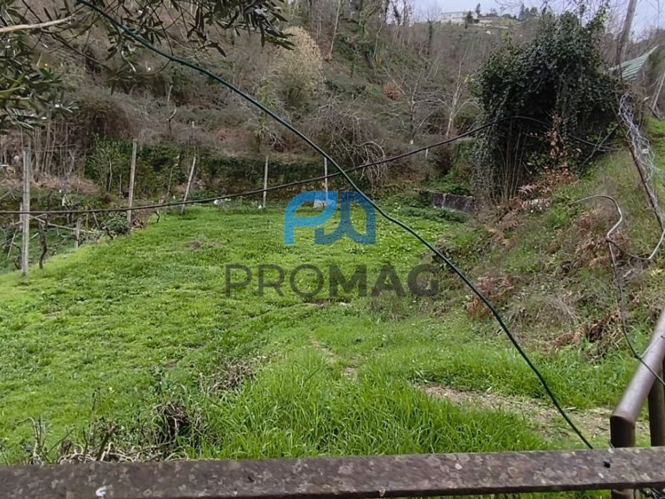 Helårsgrund i Cinfaes, Viseu - foto 2