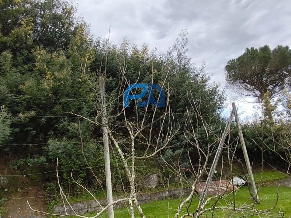 Helårsgrund i Cinfaes, Viseu - foto 3