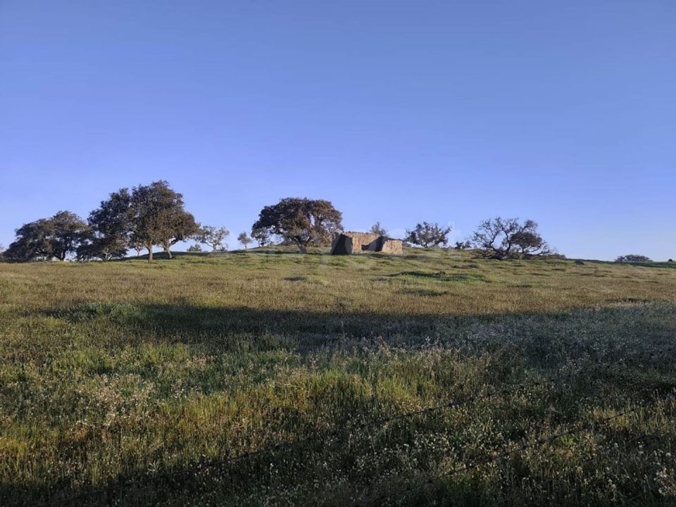 Masia a Messejana, Beja - foto 3