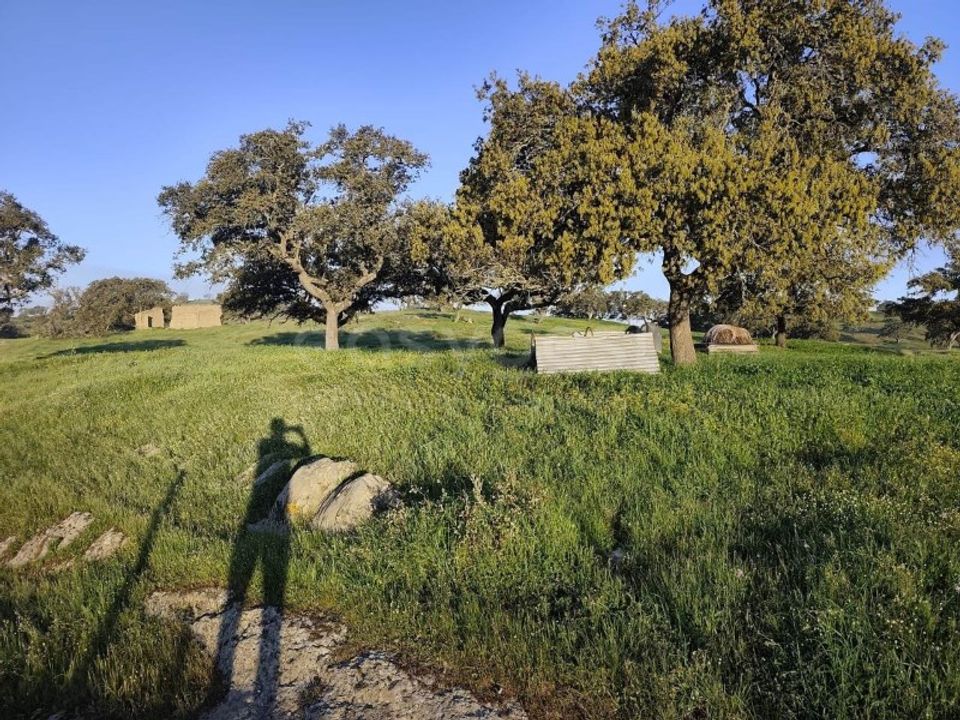 Masia a Messejana, Beja - foto 4