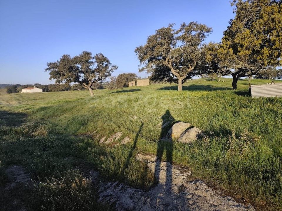 Masia a Messejana, Beja - foto 5