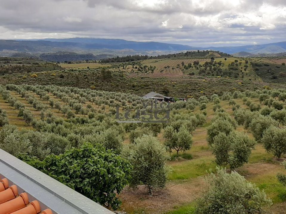 Villa i Mirandela, Braganca - bilde 3