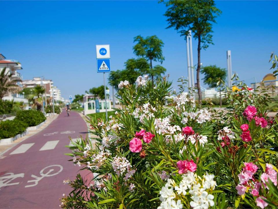 Erhvervsejendom i Riccione, Rimini - foto 5