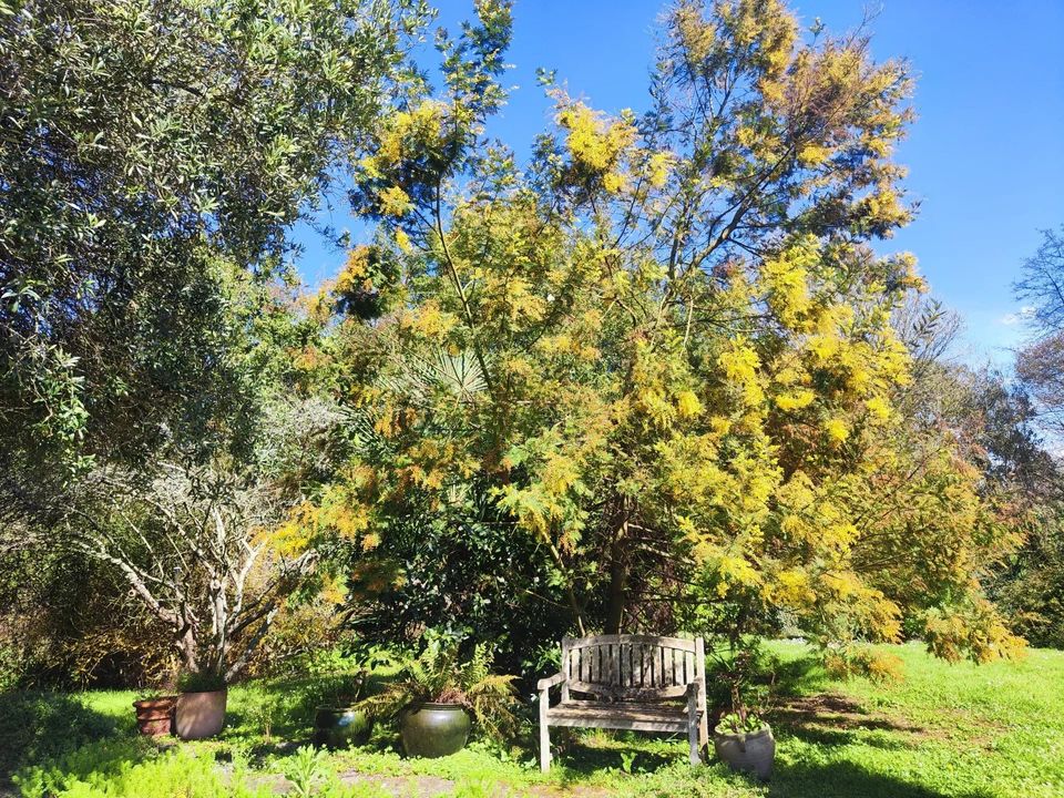 Villa a Misson, Landes - foto 1
