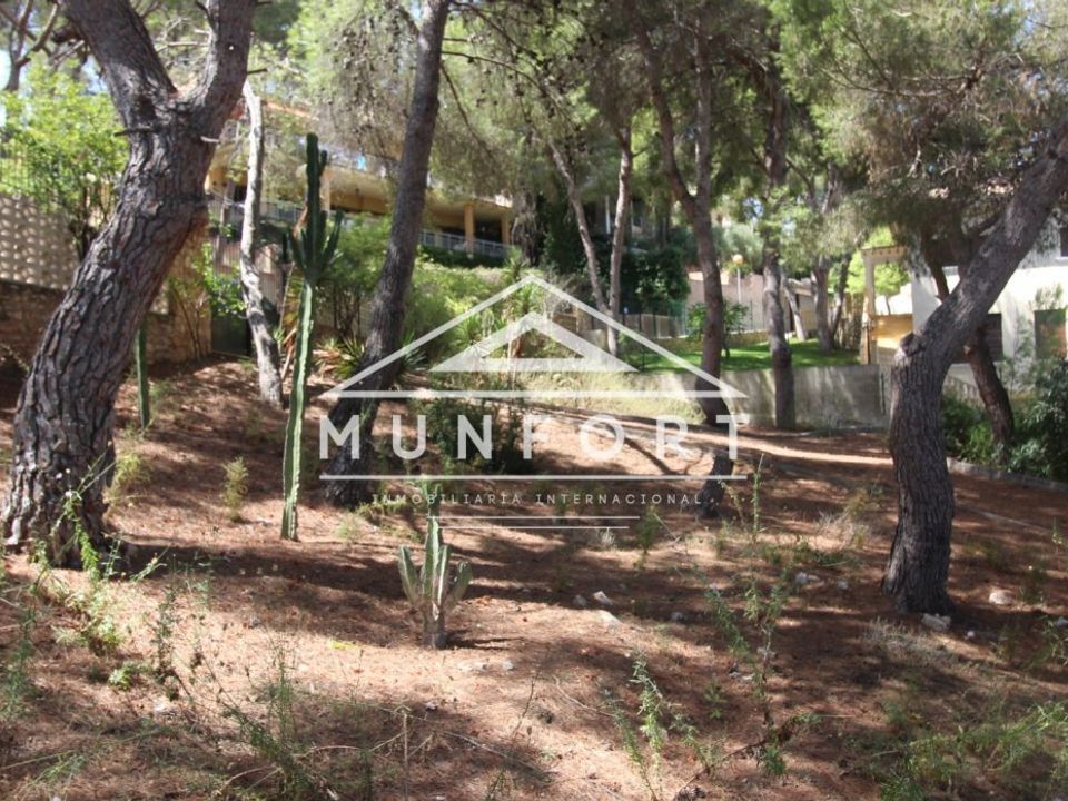Helårsgrund i Orihuela Costa, Alicante - foto 3