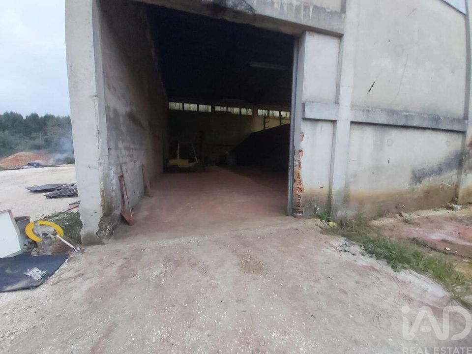 Erhvervsejendom i Porto de Mos, Leiria - foto 4