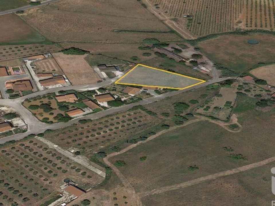 Terra a Santarem, Santarem - foto 3
