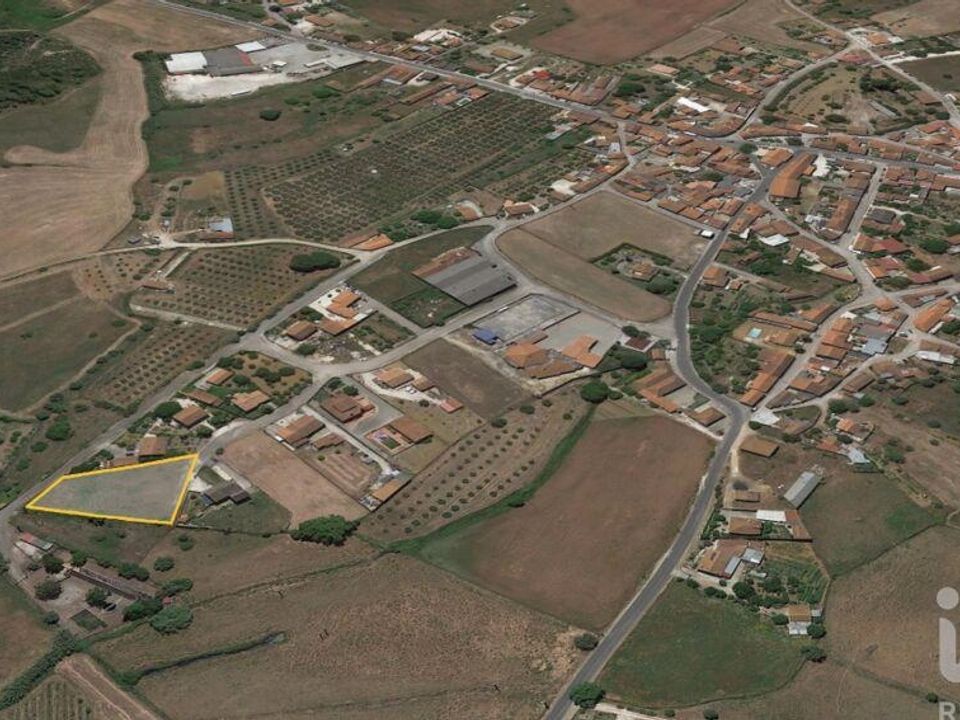 Terra a Santarem, Santarem - foto 4