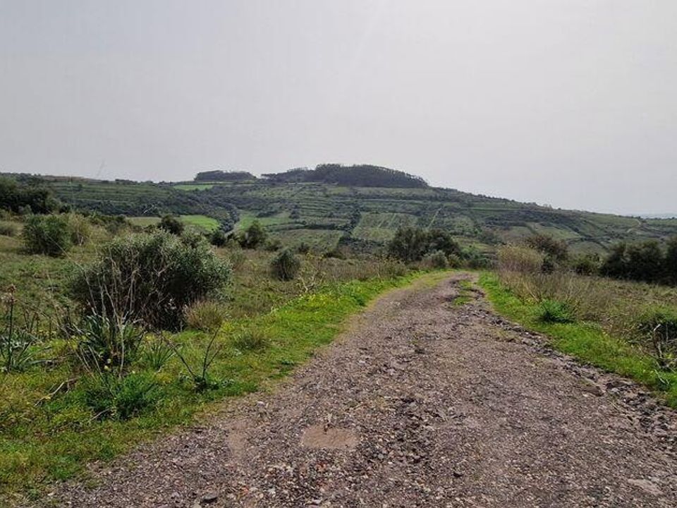 Terra a Mafra, Lisbon - foto 3