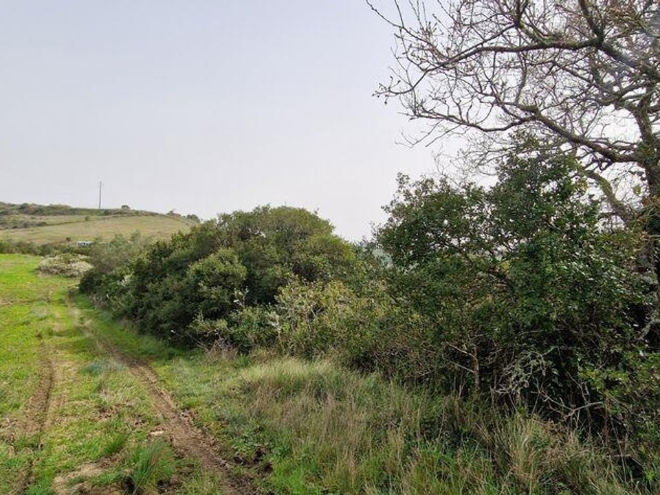 Terra a Mafra, Lisbon - foto 1