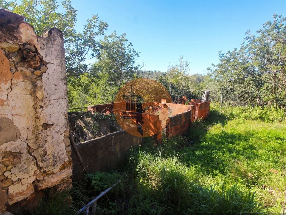 Gård i Santo Estevao, Faro - bilde 4