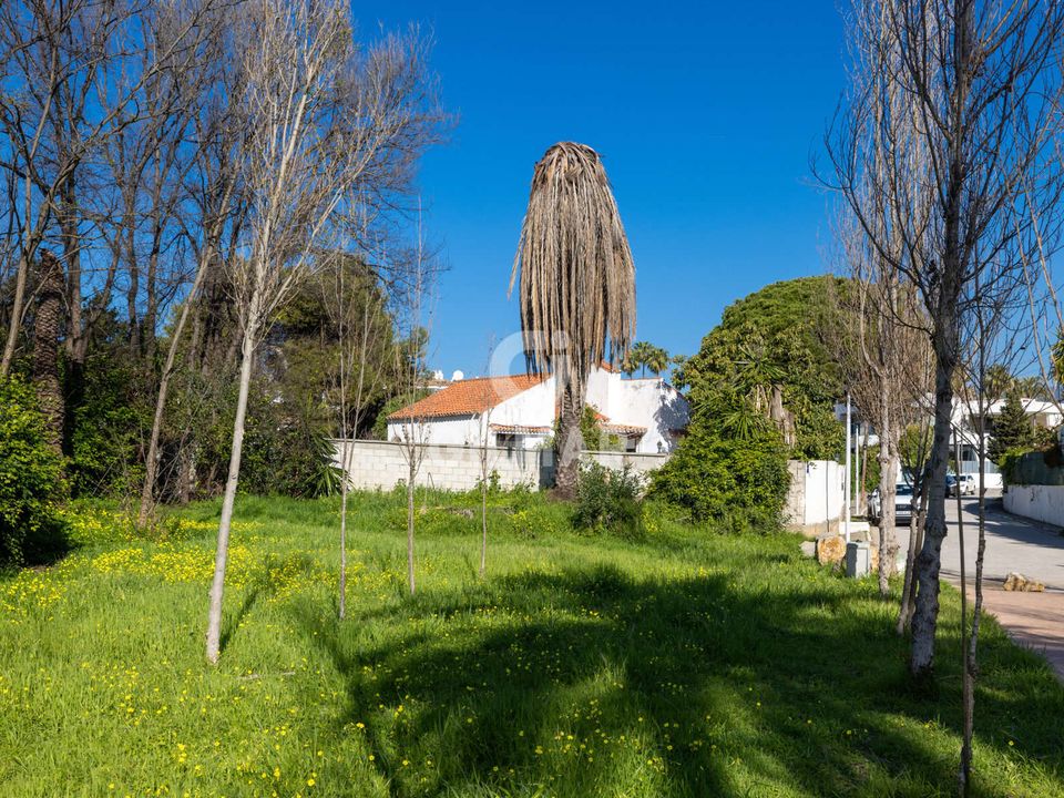 Helårsgrund i Malaga city, Malaga - foto 3